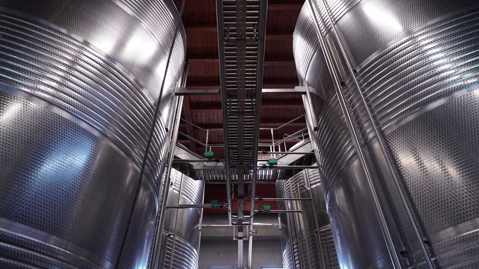 Spallanzani Vini: produzione di vini e mosti concentrati